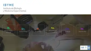 Neurociencias en IBYME
