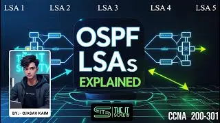 OSPF LSAs Explained in Hindi | CCNA full course (with Labs) | The IT Society