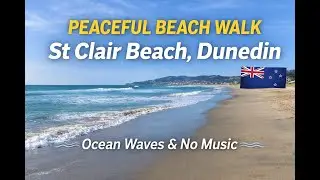 Relaxing Walk Along St Clair Beach, Dunedin | Natural Ocean Sounds