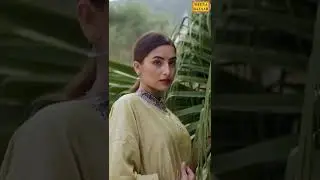 Pista Chanderi Designer Suit | Meena Bazaar | #New_Collection #Wedding_Season