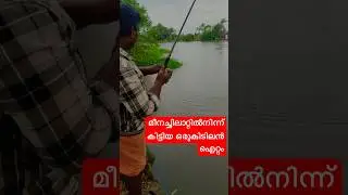 #kottayam #fishing #fish #kerala 🎣🎣🎣🎣🎣🎣🎣👌👌👌👌 #kodimatha