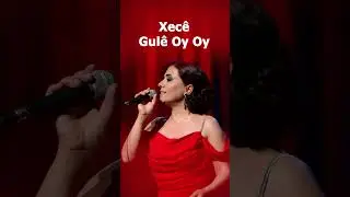 Xec&ecirc; - Gul&ecirc; Oy Oy #xece #kurdishmusic #k&uuml;rt&ccedil;em&uuml;zik #stran #shorts #zivrecords