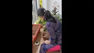 Bread Chop | बड़े दिन मे बनाई बड़ी सी रेसिपी | 🤣