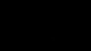 MOV00407