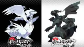 Pokemon Black & White - Encounter! Looker