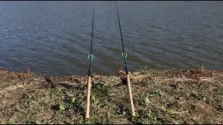 Карась на Pop-Up и другая разнорыбица на донку и Flat-Method Feeder