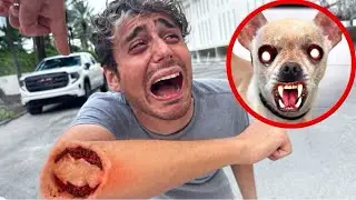 OUR POSSESSED DOG BIT JAMES…😰