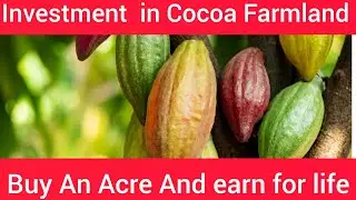 Buy Coco  Farmland Nigeria Coco Republic Lagos .Nigeria. 