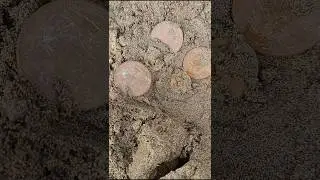 old gold coin recovery video #treasurehunt #shortvideo #shortfeed #shorts