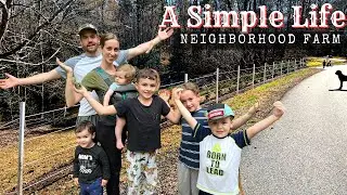 Build CHEAP and EASY Farm Fence in 2 Days | A Simple Life