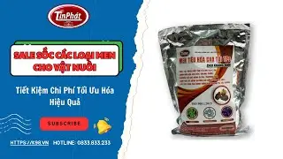 Tín Phát – Công Nghệ Cho Trang Trại Thông Minh đang phát trực tiếp!