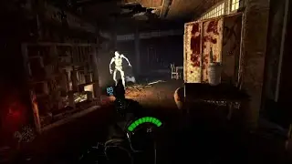 Shenanigaming in VR: After the Fall