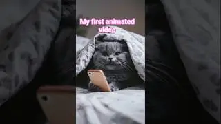 💢 No more phone!!! 📵 #shorts #cat #funny #cute #kitten #Cat Story #funny #animation #amazing #ai