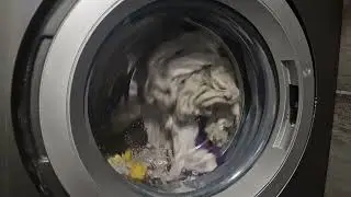 SammySong  -  Main wash at 50°