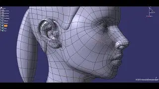CAD-friendly young woman Head Model F3P1D0V1head