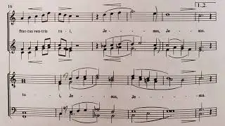 Ave Maria - Biebl - Tenor 2