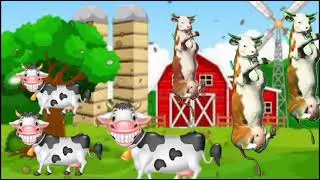FUNNY COW DANCE 5│ Cow Song & Cow Videos 2021  Funny Cow Videos