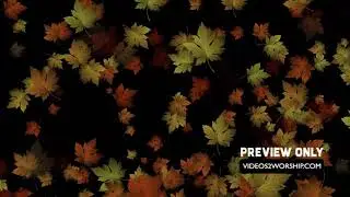 Autumn Large Leaves Motion Background Loop