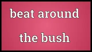 Beat around the bush Meaning