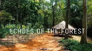 Kodanad drenched in beauty of nature #flickerspot  #soloJourney #kodanad