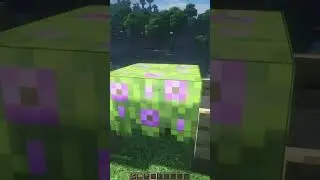 #minecraft #minecraftsmp #roblox #minecraftfans #edit #meme #minecraftlovers #building #mine #mine