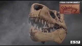 🦖 DINOSAUR SCIENCE Q&A 🦕 Get your paleontology questions answered 💬 + Thursday BIRDSday ���