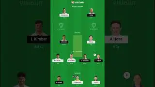 WOR VS LEI // VITALITY T20 BLAST // DREAM 11 SMALL LEAGUES DEMO TEAMS