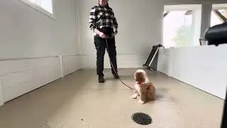 Rubi Final Training Session 11/12