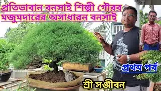 গৌরব মজুমদারের অসাধারণ বনসাই||Beautiful Bonsai Of Gourab Majumdar||Sree Sanjiban||