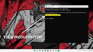 How to Check windows product key in windows 11  || Windows serial number #techexplained #pctricks
