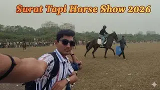 Surat Tapi Horse Show 2026 #surat #horse #riding