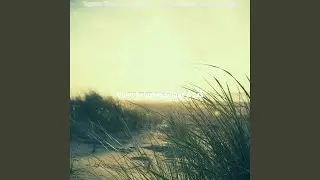 Hypnotic Backdrops for Summertime Vibes