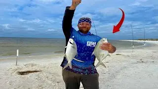 Рай Помпано!! Рыбалка с удочкой FISHGUM Servant Leader!! Советы и рекомендации по использованию ротангового дуба