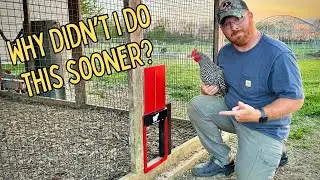 Run Chicken Automatic Door Review | Reliable & Easy to Install!