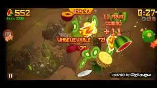 Fruit Ninja High Score 1776