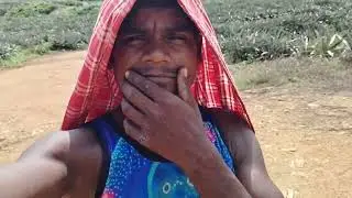 आज के वीडियो में आपको फिर से स्वागत है  नया वीडियो #video#wayal Kerala me fir #🌲🌲