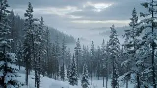 Whispering Pines - Cinematic Winter Atmosphere | City Atlas