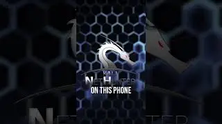 Kali Nethunter WIFI Hack