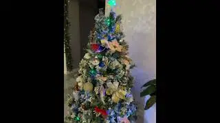 #питер #москва #гости #новыйгод #2025 #отпуск #youtubeshorts