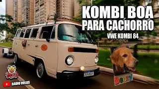 UMA KOMBI 1984  BOA PARA CACHORRO, CONHE&Ccedil;A O BEENNY UM CACHORRO QUE ADORA VIAJAR NA SUA KOMBI.