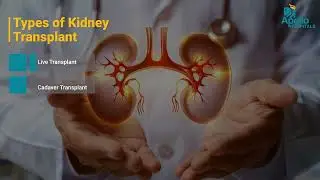 All About Kidney Transplant | Complete Guide for Patients