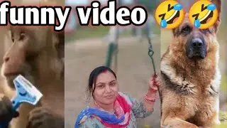 Special Trending Funny Comedy Video 😂 | Amazing Funny Video | comedy | aalupayaj ki comedy 