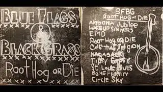 Blue Flags & Black Grass - Root Hog or Die (Full Album 2013)