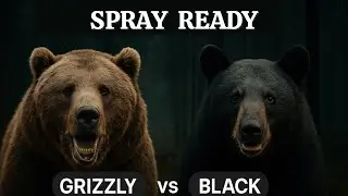 How To Survive a Bear Charge (Grizzly ve Black)