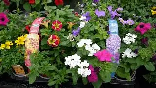 Pentland Plants Looking Good Video 5th May 2022