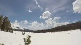 Dana Meadows
