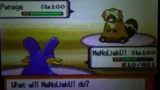 Pokefan26 vs Yamborski