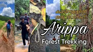 കാടിനുള്ളിൽ ഒരു ദിവസം | Arippa Forest Trekking | Kerala Eco Tourism #kerala #forest #trekking