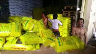 WORKER Loading rice to container (Bag 20kg)