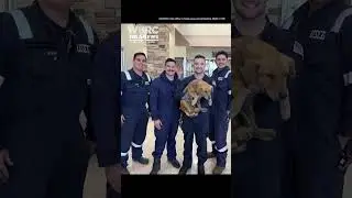 Members of the U.S. Coast Guard helped rescue a dog at the Port of Houston in Texas.